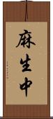 麻生中 Scroll