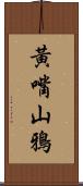 黃嘴山鴉 Scroll