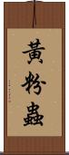 黃粉蟲 Scroll