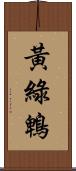 黃綠鵯 Scroll