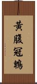 黃腹冠鵯 Scroll