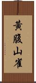 黃腹山雀 Scroll