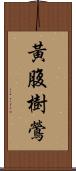 黃腹樹鶯 Scroll