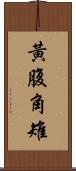 黃腹角雉 Scroll