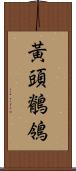 黃頭鶺鴒 Scroll