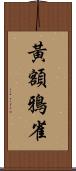 黃額鴉雀 Scroll