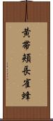 黄帯頬長雀蜂 Scroll