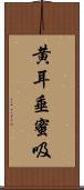 黄耳垂蜜吸 Scroll