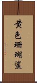 黄色珊瑚鯊 Scroll