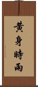 黄身時雨 Scroll