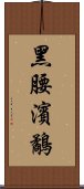 黑腰濱鷸 Scroll