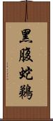 黑腹蛇鵜 Scroll