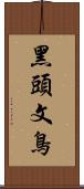 黑頭文鳥 Scroll