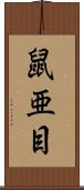 鼠亜目 Scroll