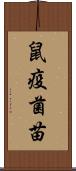 鼠疫菌苗 Scroll