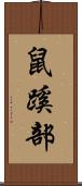 鼠蹊部 Scroll
