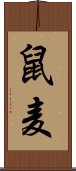 鼠麦 Scroll