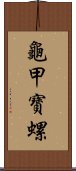 龜甲寶螺 Scroll