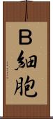 Ｂ細胞 Scroll