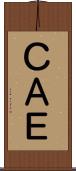 ＣＡＥ Scroll