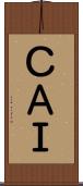 ＣＡＩ Scroll