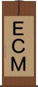 ＥＣＭ Scroll