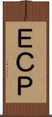 ＥＣＰ Scroll