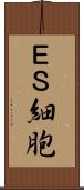 ＥＳ細胞 Scroll