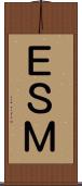 ＥＳＭ Scroll