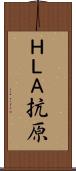 ＨＬＡ抗原 Scroll