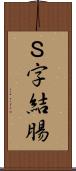 Ｓ字結腸 Scroll
