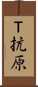Ｔ抗原 Scroll