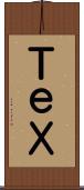 ＴｅＸ Scroll