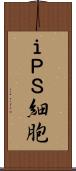 ｉＰＳ細胞 Scroll