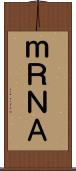 ｍＲＮＡ Scroll