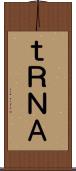 ｔＲＮＡ Scroll