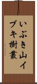 いぶき山イブキ樹叢 Scroll