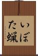 いぼた蝋 Scroll