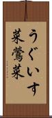 うぐいす菜 Scroll