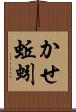 かせ蚯蚓 Scroll