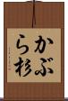 かぶら杉 Scroll