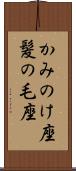 かみのけ座 Scroll