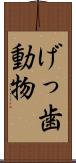 げっ歯動物 Scroll