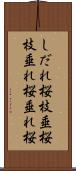 しだれ桜 Scroll