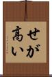せが高い Scroll