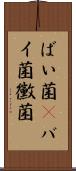 ばい菌(P) Scroll