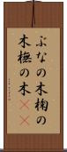 ぶなの木 Scroll