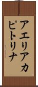 アエリアカピトリナ Scroll