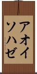 アオイソハゼ Scroll
