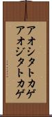 アオシタトカゲ Scroll